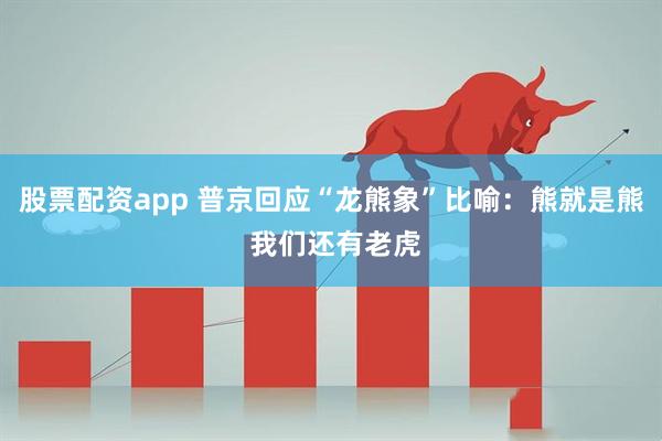股票配资app 普京回应“龙熊象”比喻：熊就是熊 我们还有老虎
