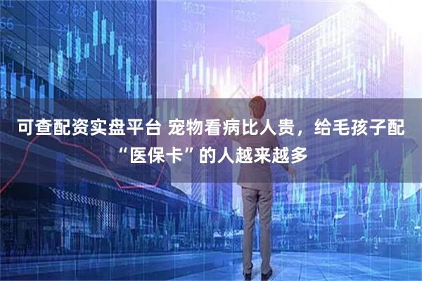 可查配资实盘平台 宠物看病比人贵，给毛孩子配“医保卡”的人越来越多